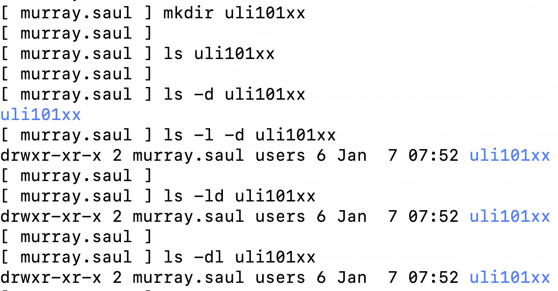 Directory Structure 4