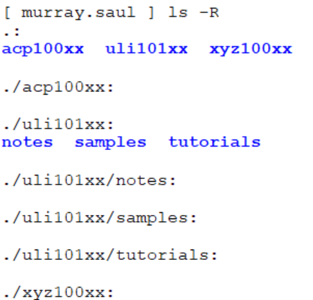 Directory Structure 6