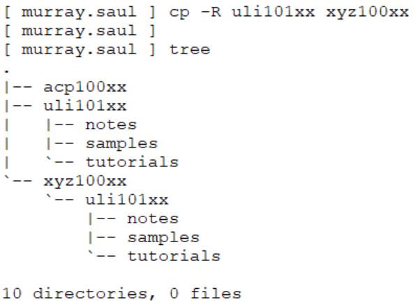 Directory Structure 7