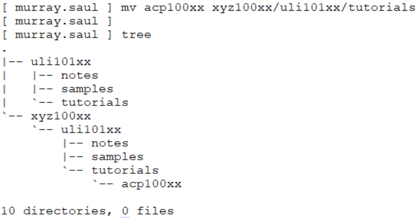 Directory Structure 8